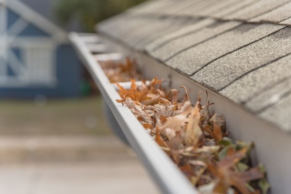 Leaf Barrier Installation in Norristown